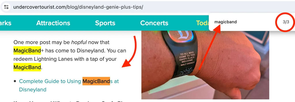 Highlighting the word "MagicBand+" that was mentioned in the Undercover Tourist article