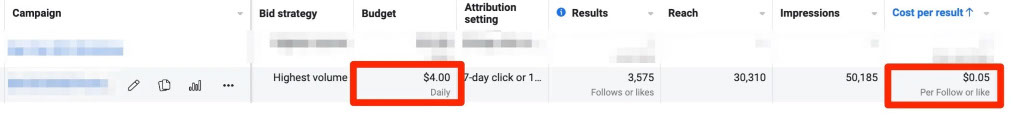 Page Like campaign in Facebook report