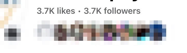 Screencap of a Likes and Followers number from a sample social media profile account