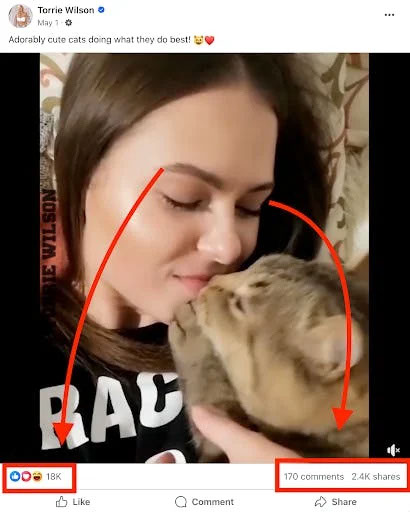 Screencap of a post in Facebook, of a woman cuddling her cat