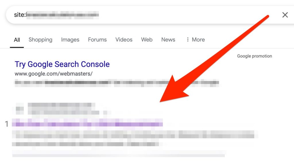 A Google search results page displaying a "site:" search query to check indexed pages of a specific website